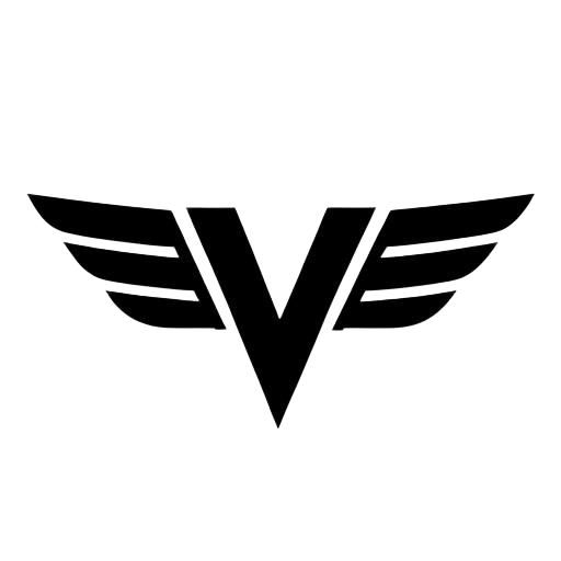 Vision Wheel logo